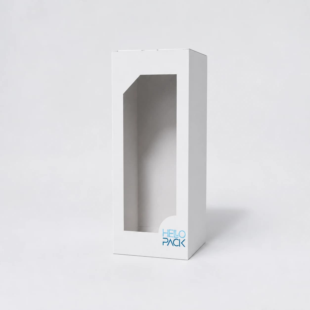 Preview of model Case with window