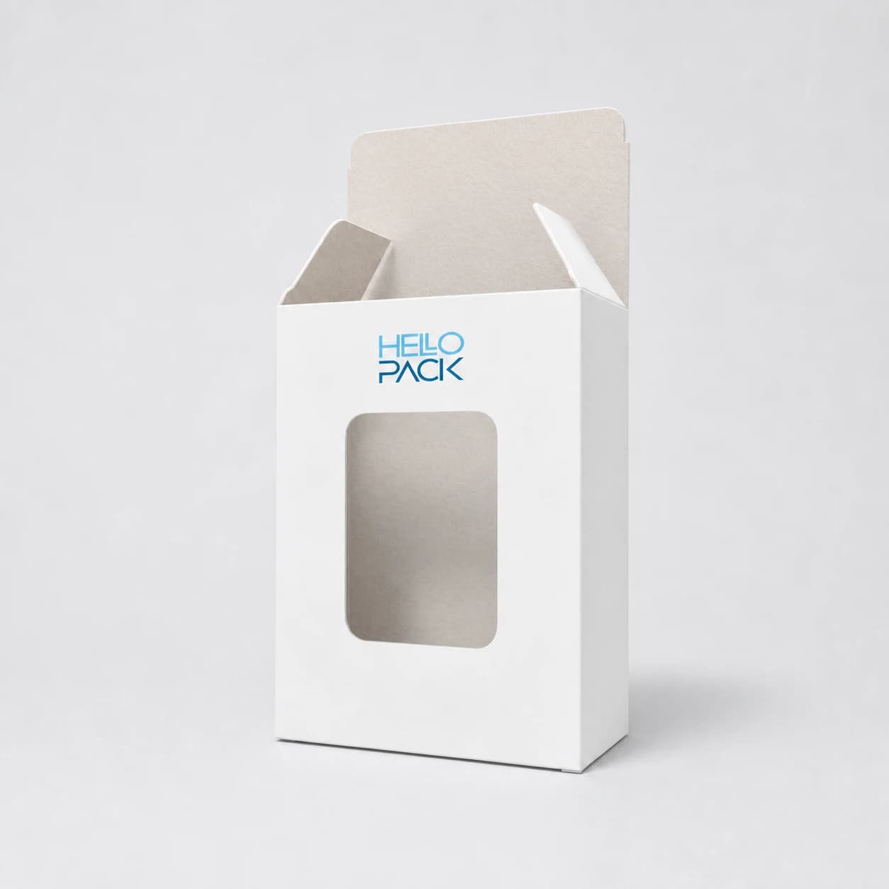 Preview of model Case with window