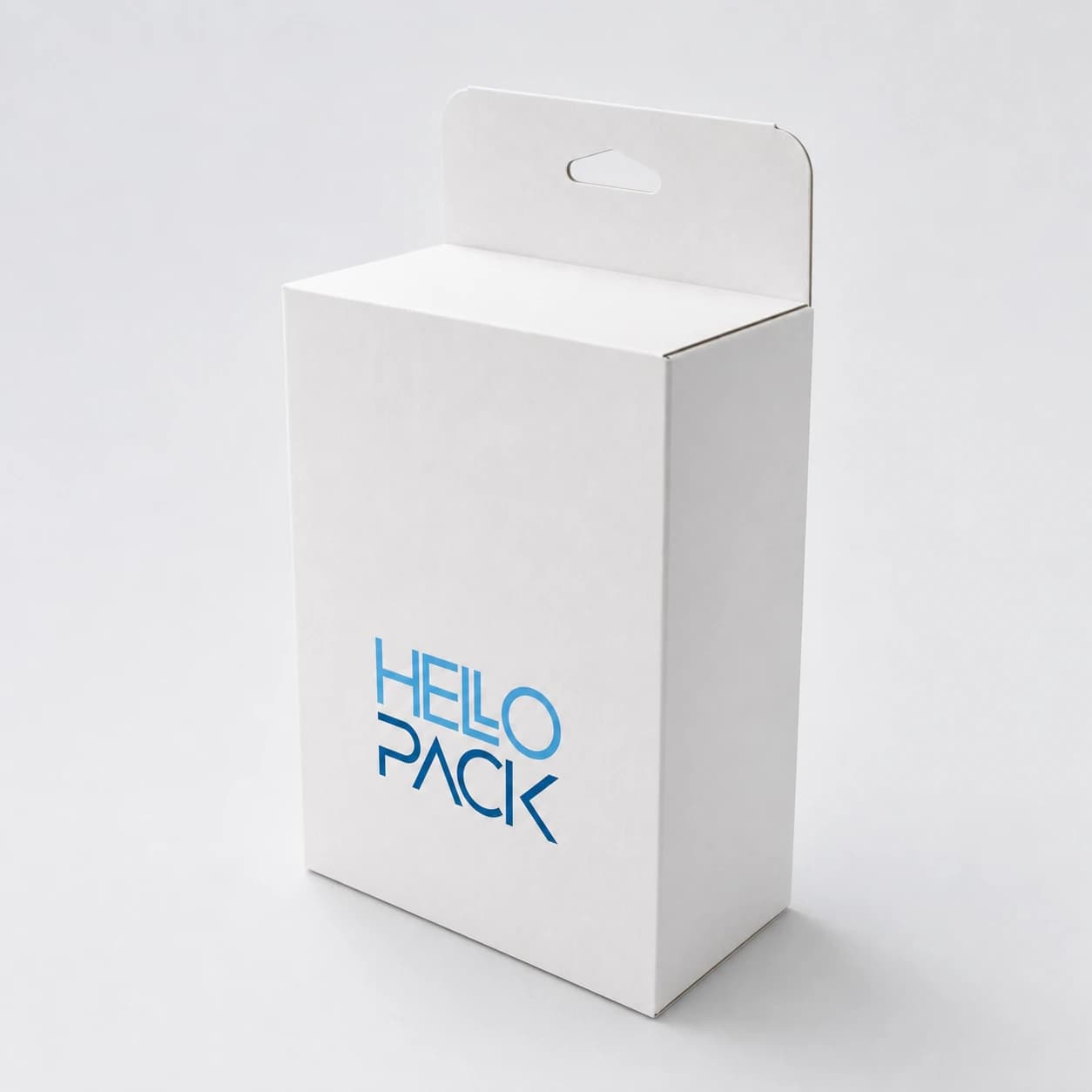 Preview of model Hanging case