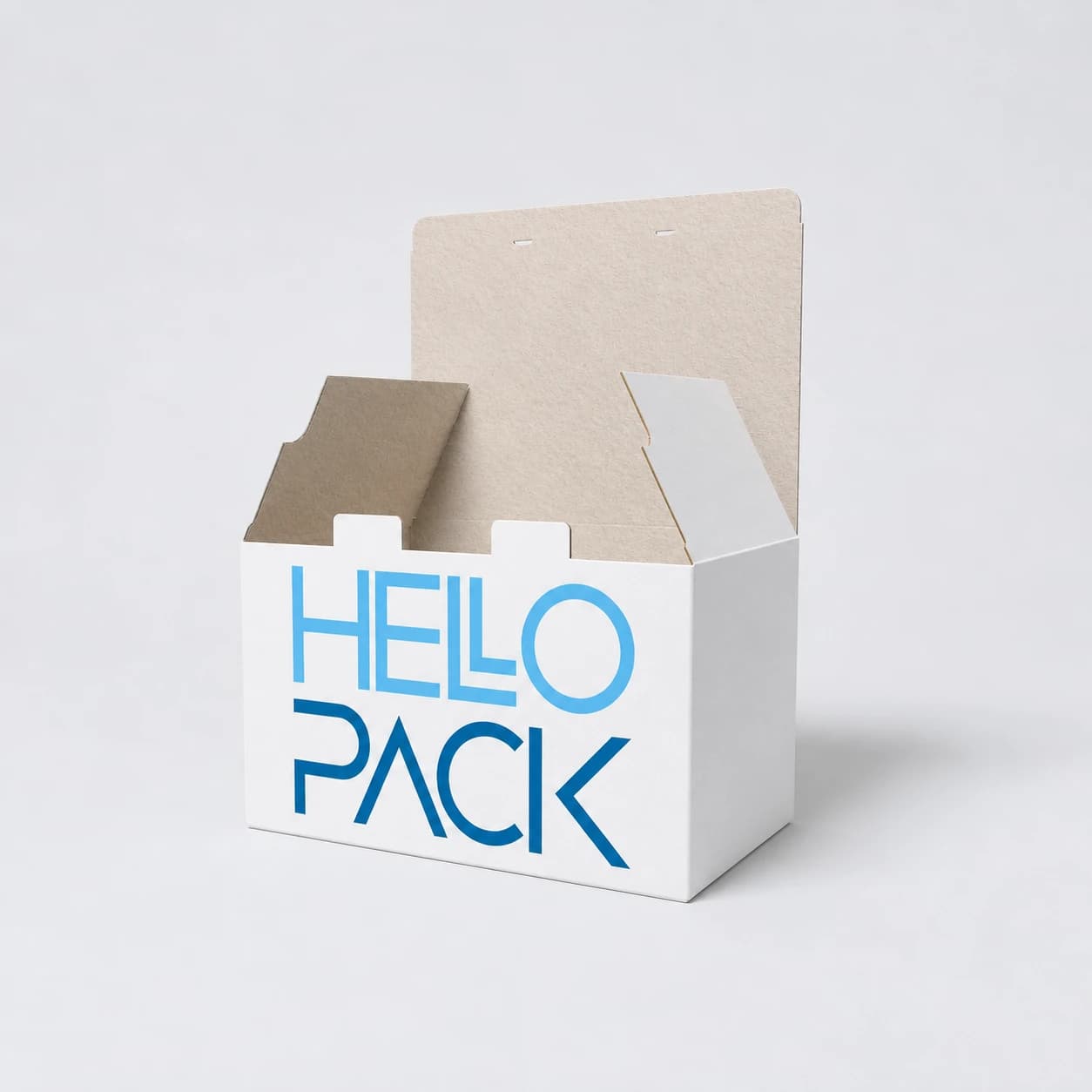 Preview of model Case with two hooks